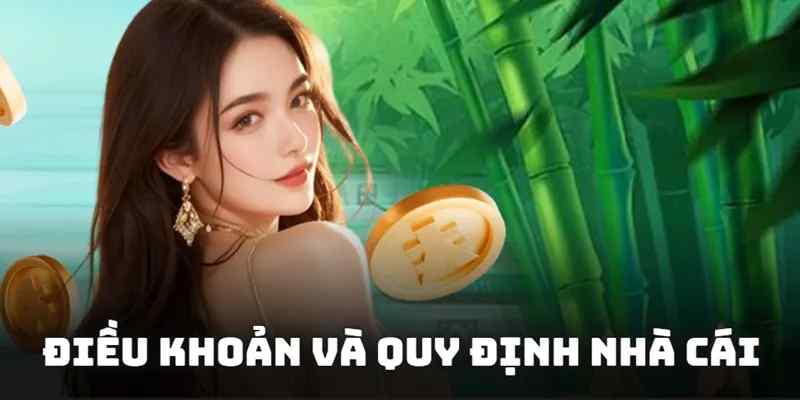 Những nội dung trong chính sách điều khoản XO88 cho quá trình đăng ký